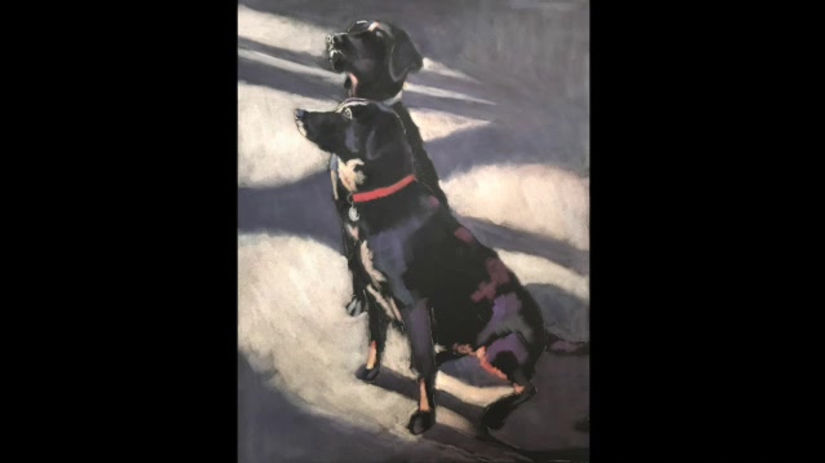 Black Labs in Pan Pastels